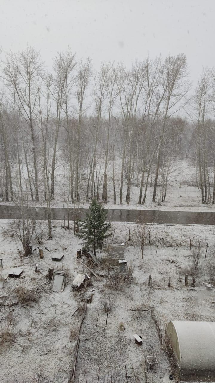 Фото В Новосибирске начался снегопад перед Пасхой 23 апреля 3
